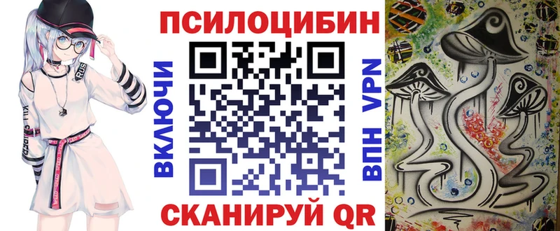 Галлюциногенные грибы MAGIC MUSHROOMS  купить наркотики цена  Ржев 
